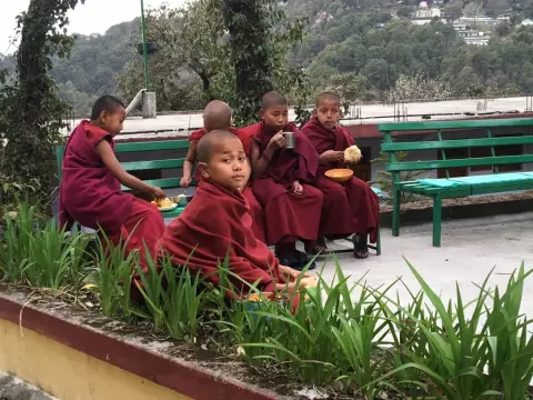 Indische Mönchskinder